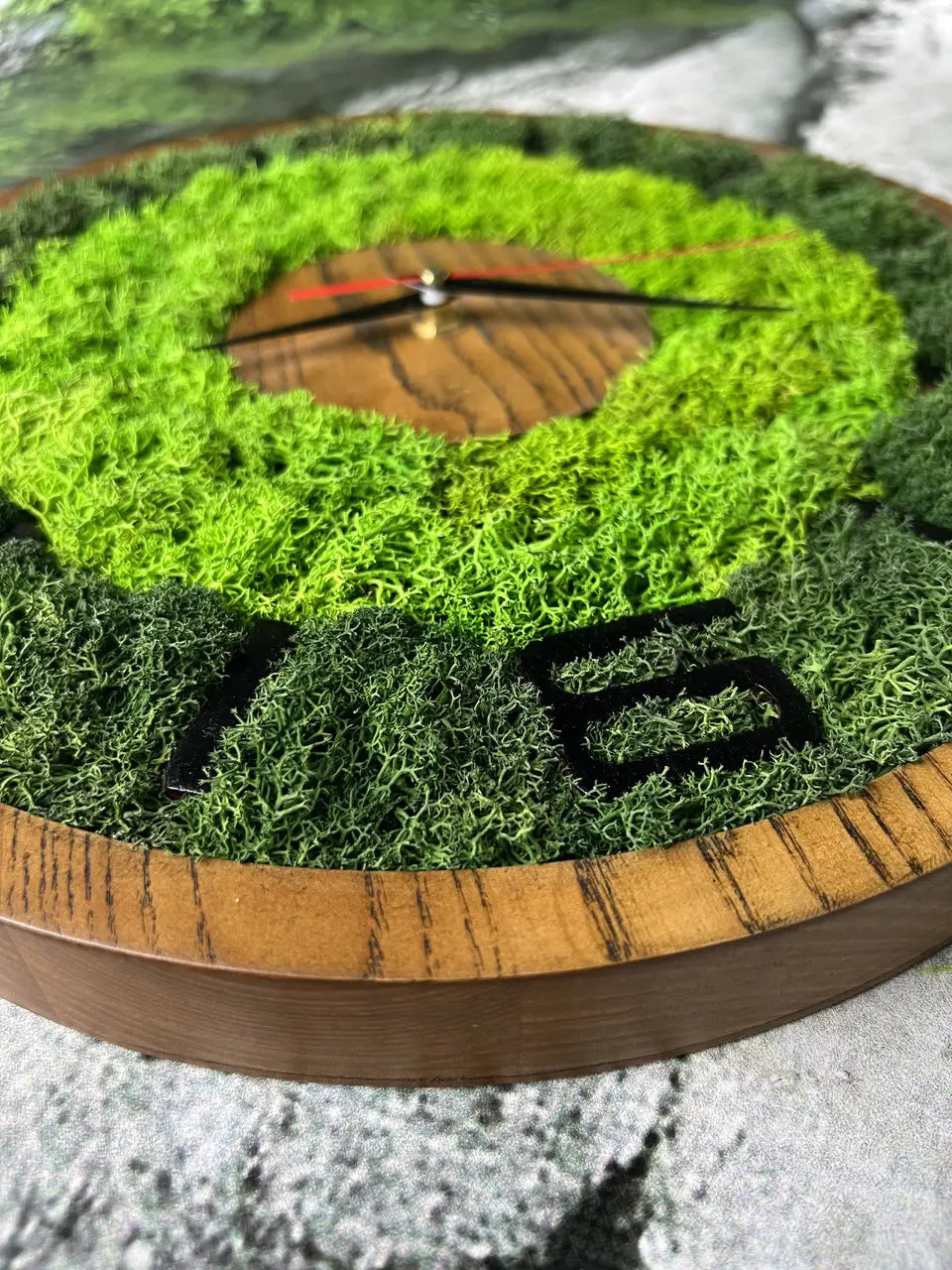 Wooden wall clock featuring natural moss and quartz mechanism