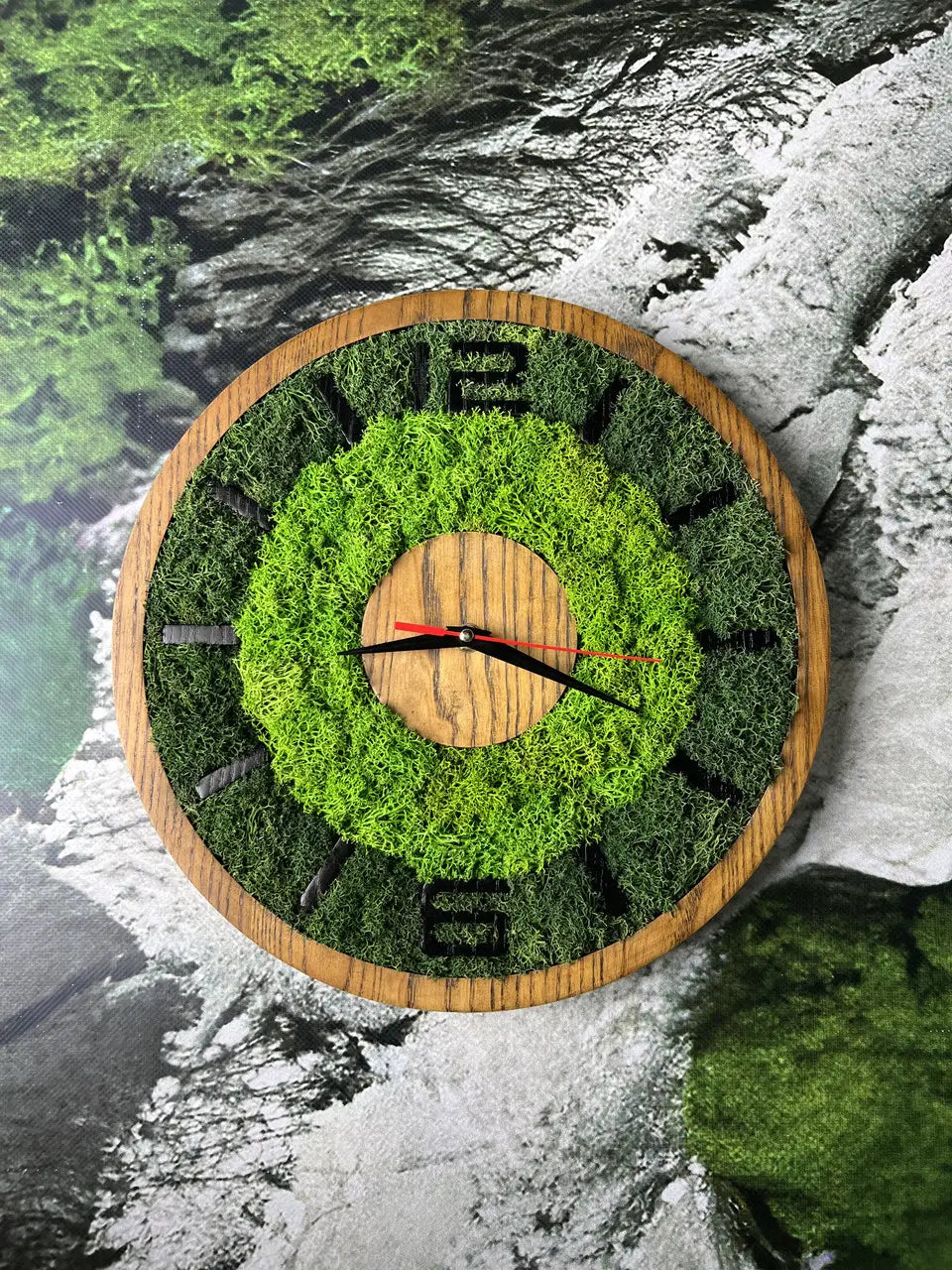 Wooden wall clock with natural moss and ash wood