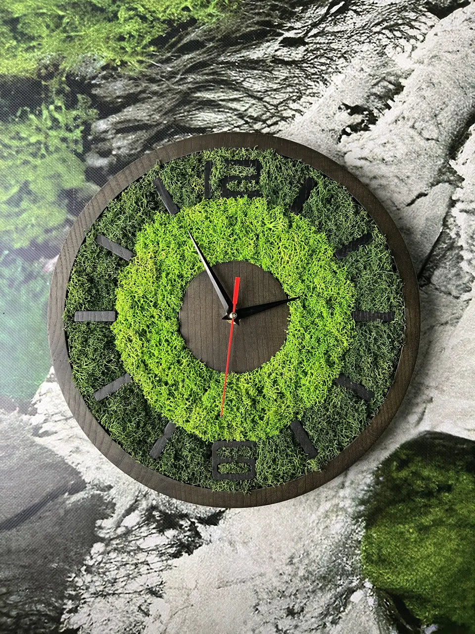 Wooden wall clock with natural stabilized green moss