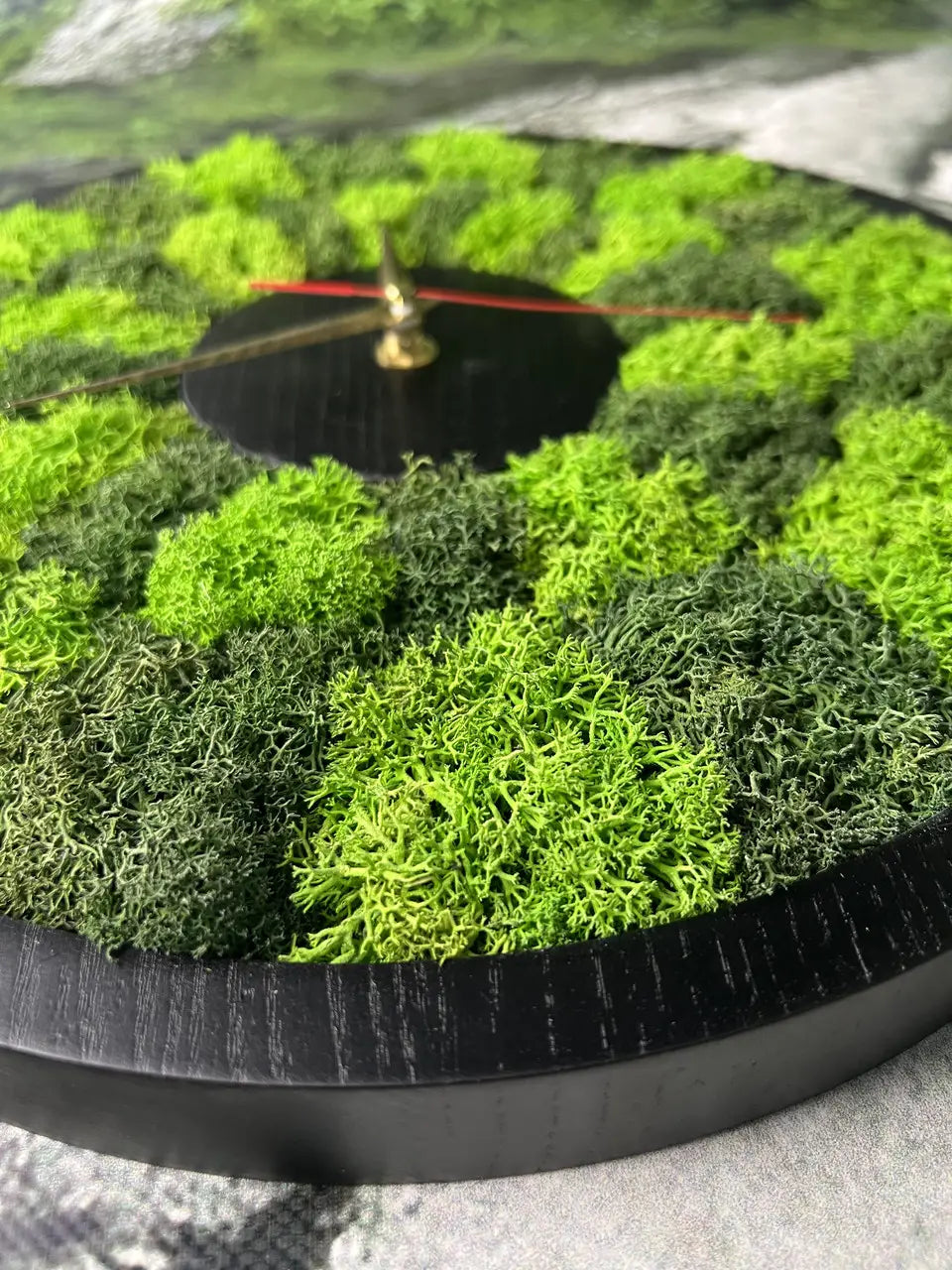 Wooden wall clock with dark wood and preserved moss