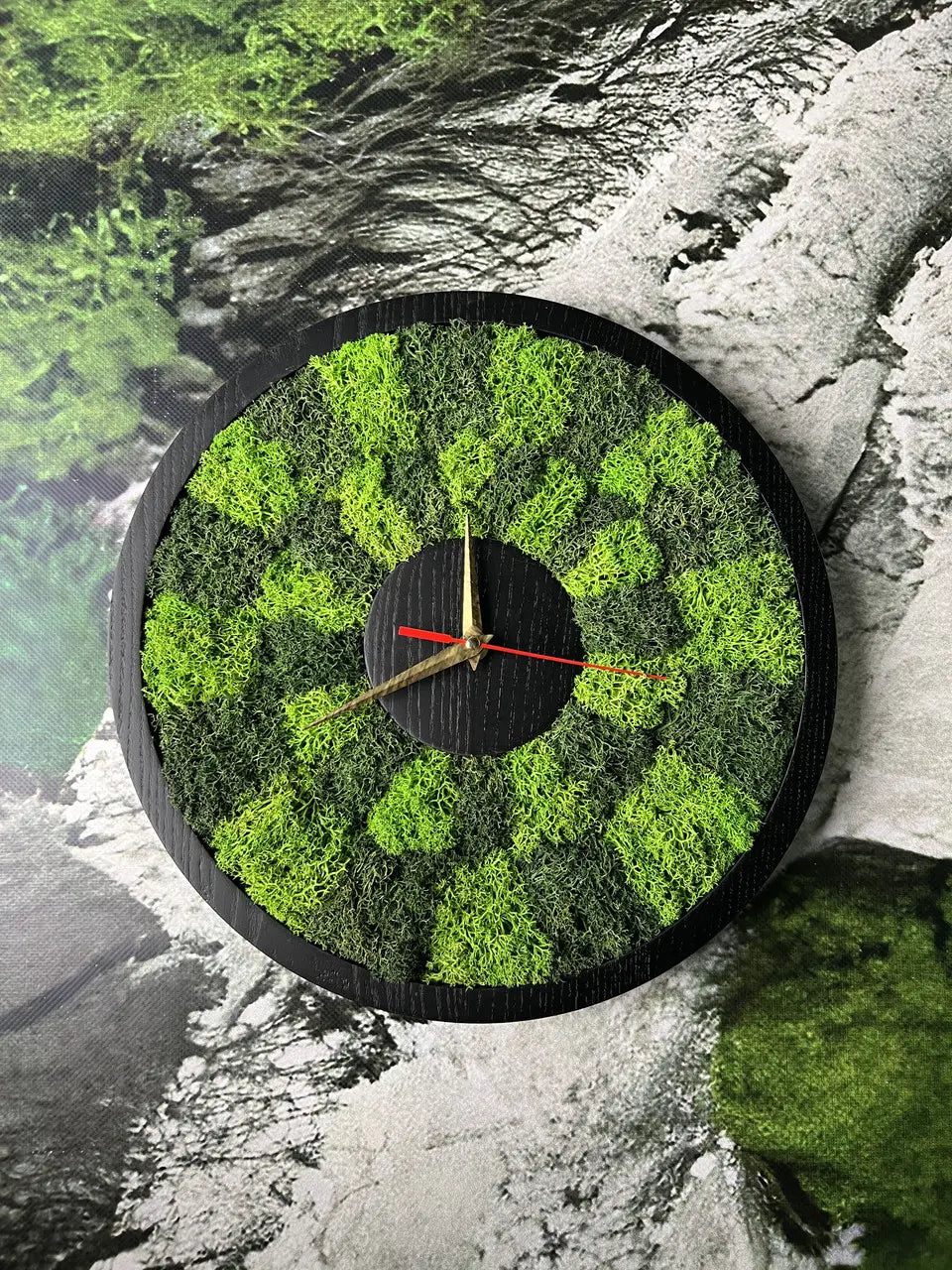 Wooden wall clock with natural stabilized green moss