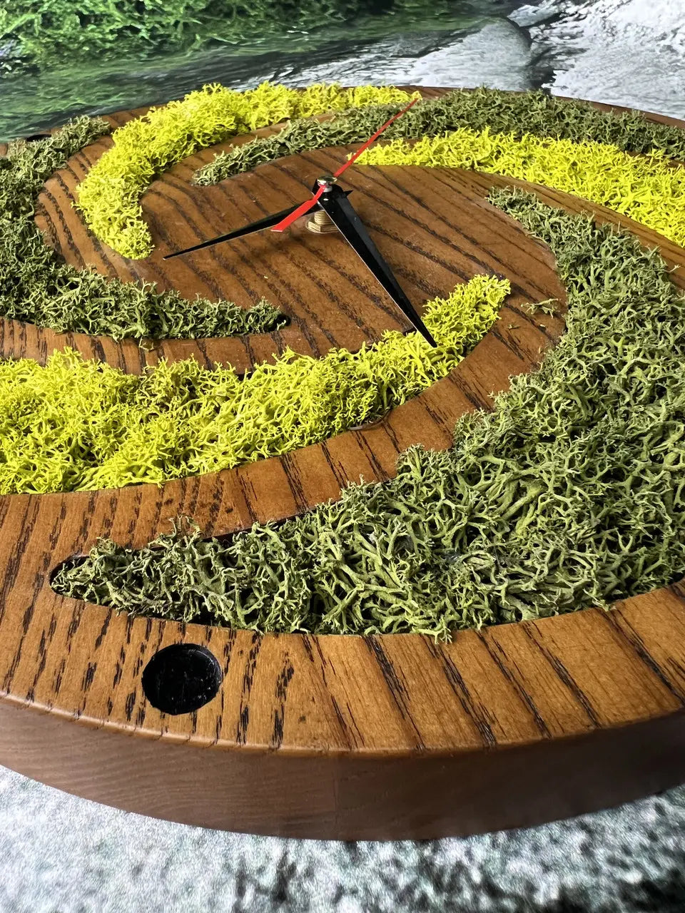 Spiral wood and preserved moss wall clock