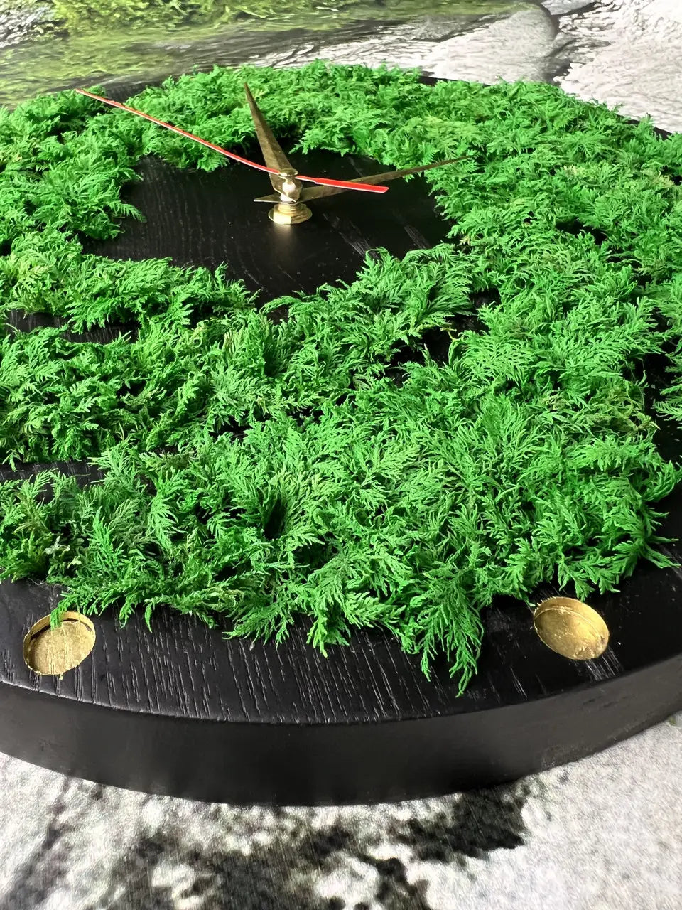 Dark ash wood clock surrounded by lush green moss