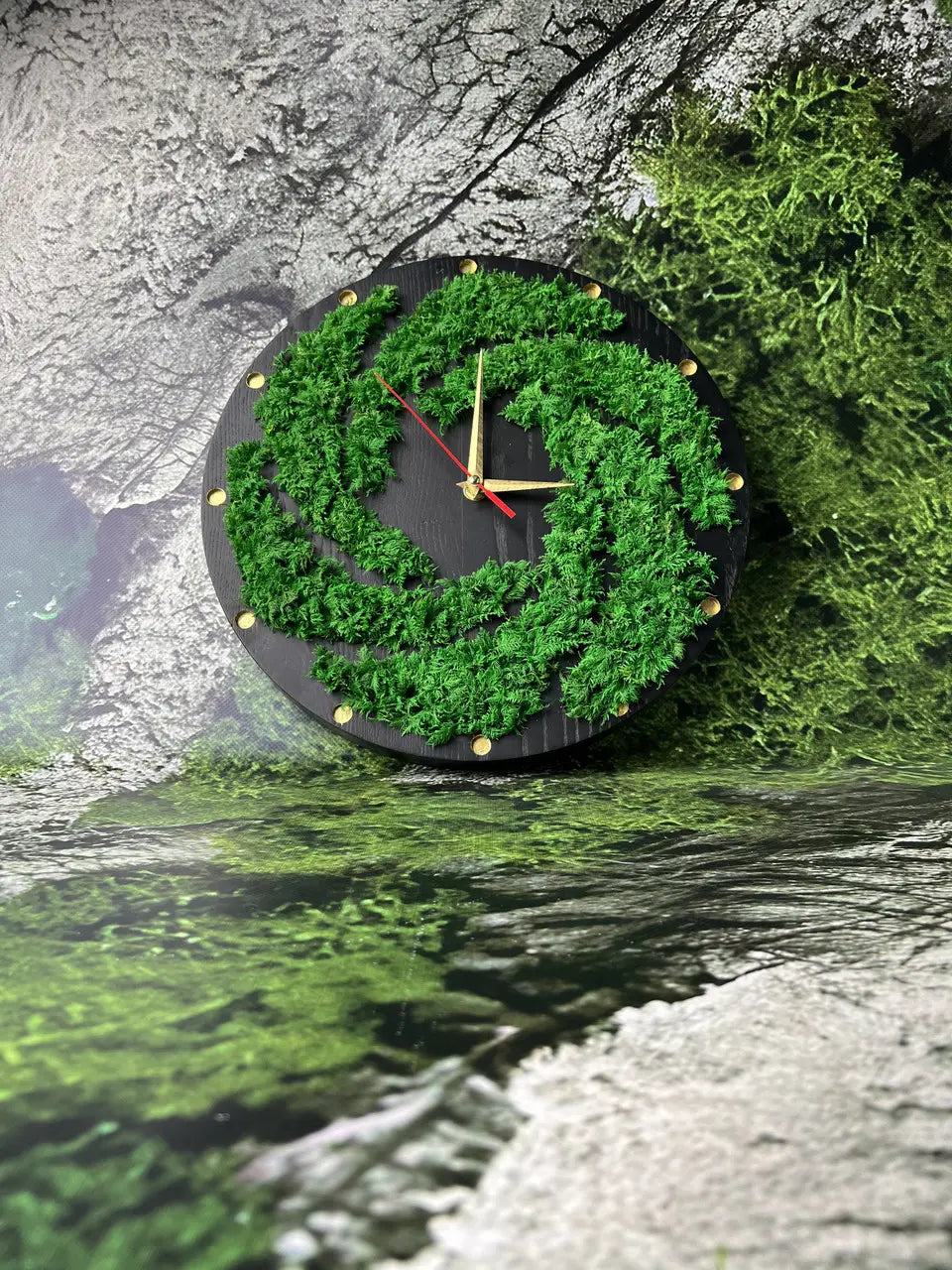 Wood Frame Wall Clocks with dark ash wood and preserved moss