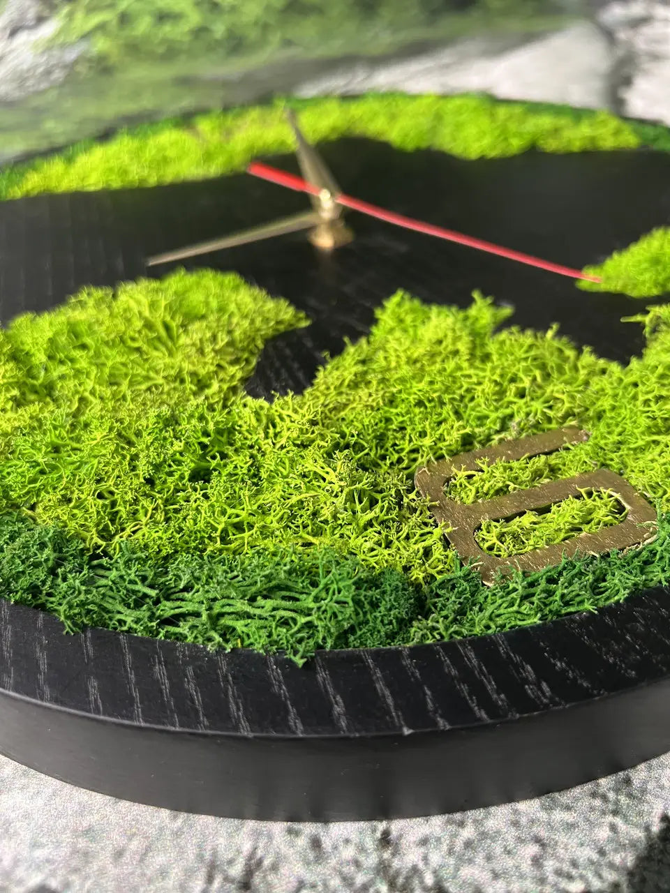 Organic shaped ash wood and moss wall clock