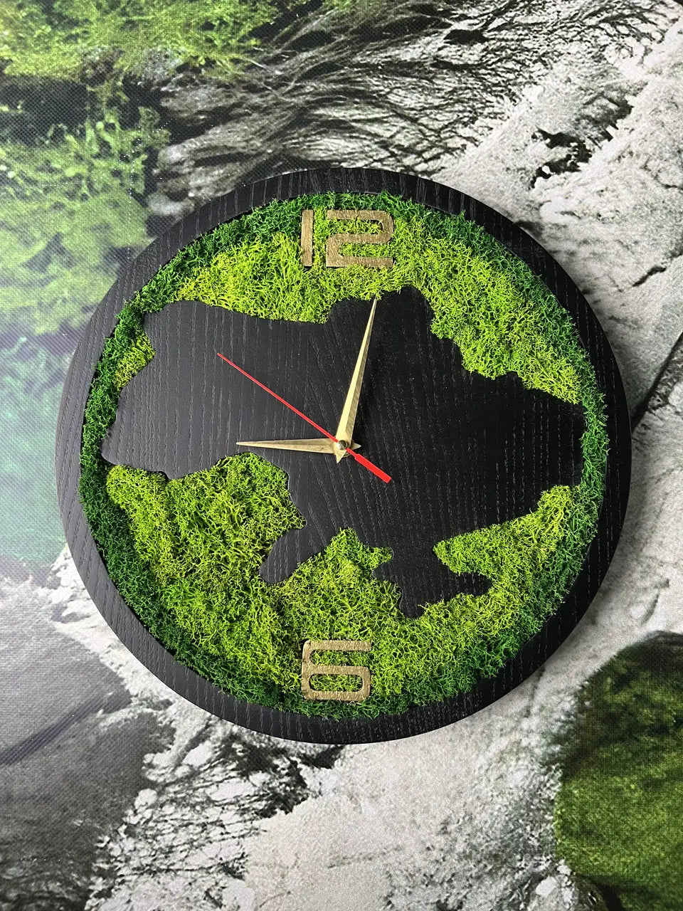 Wood Wall Clocks with dark ash wood and vibrant green moss
