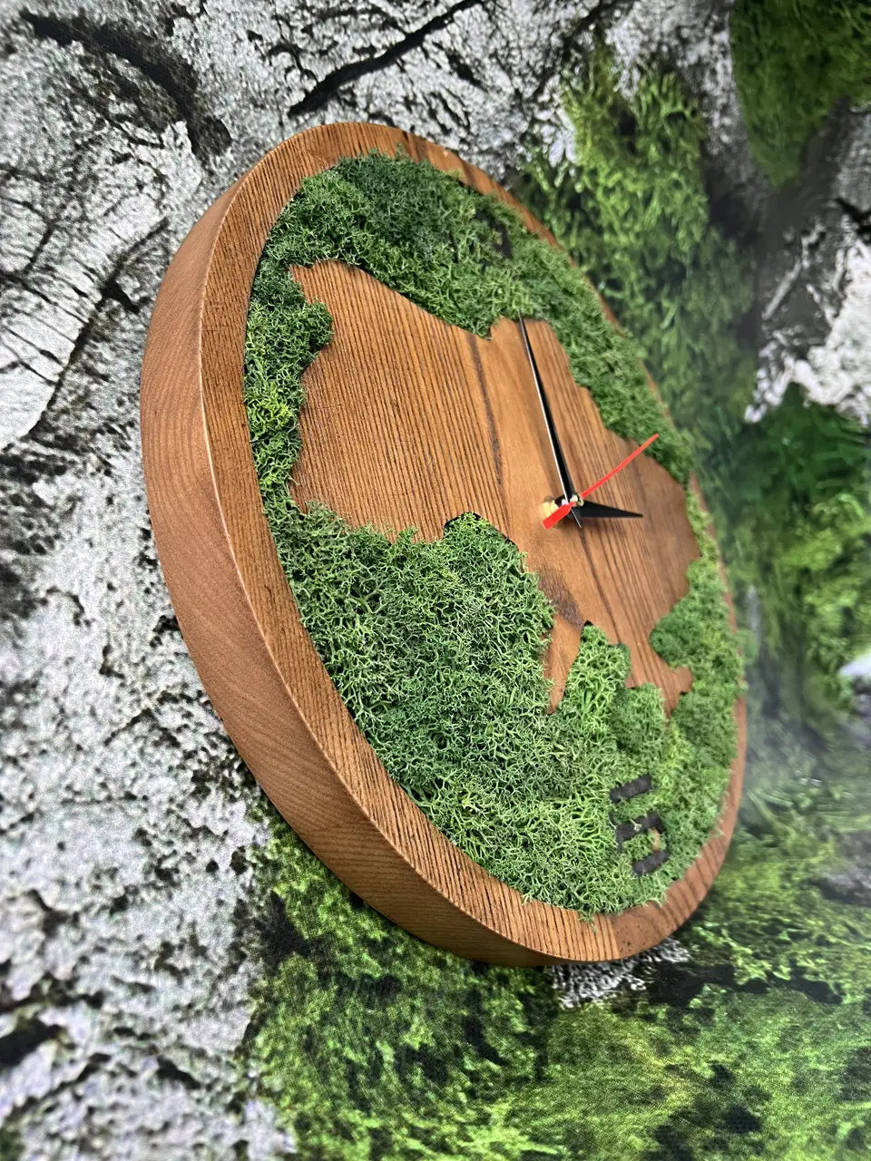 Natural ash wood clock with preserved green moss