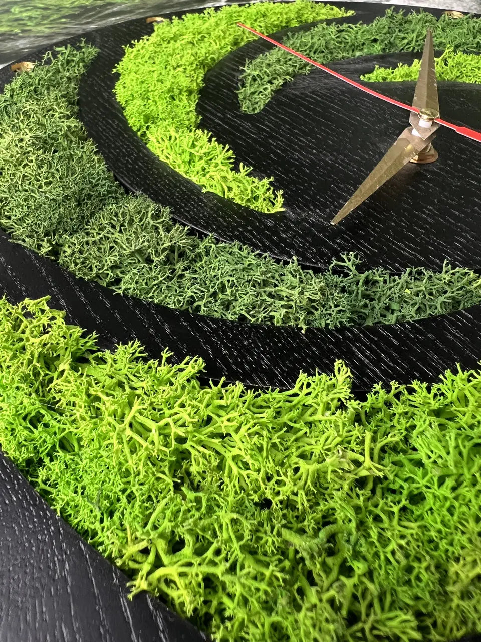 Round ash wood clock with preserved moss spiral