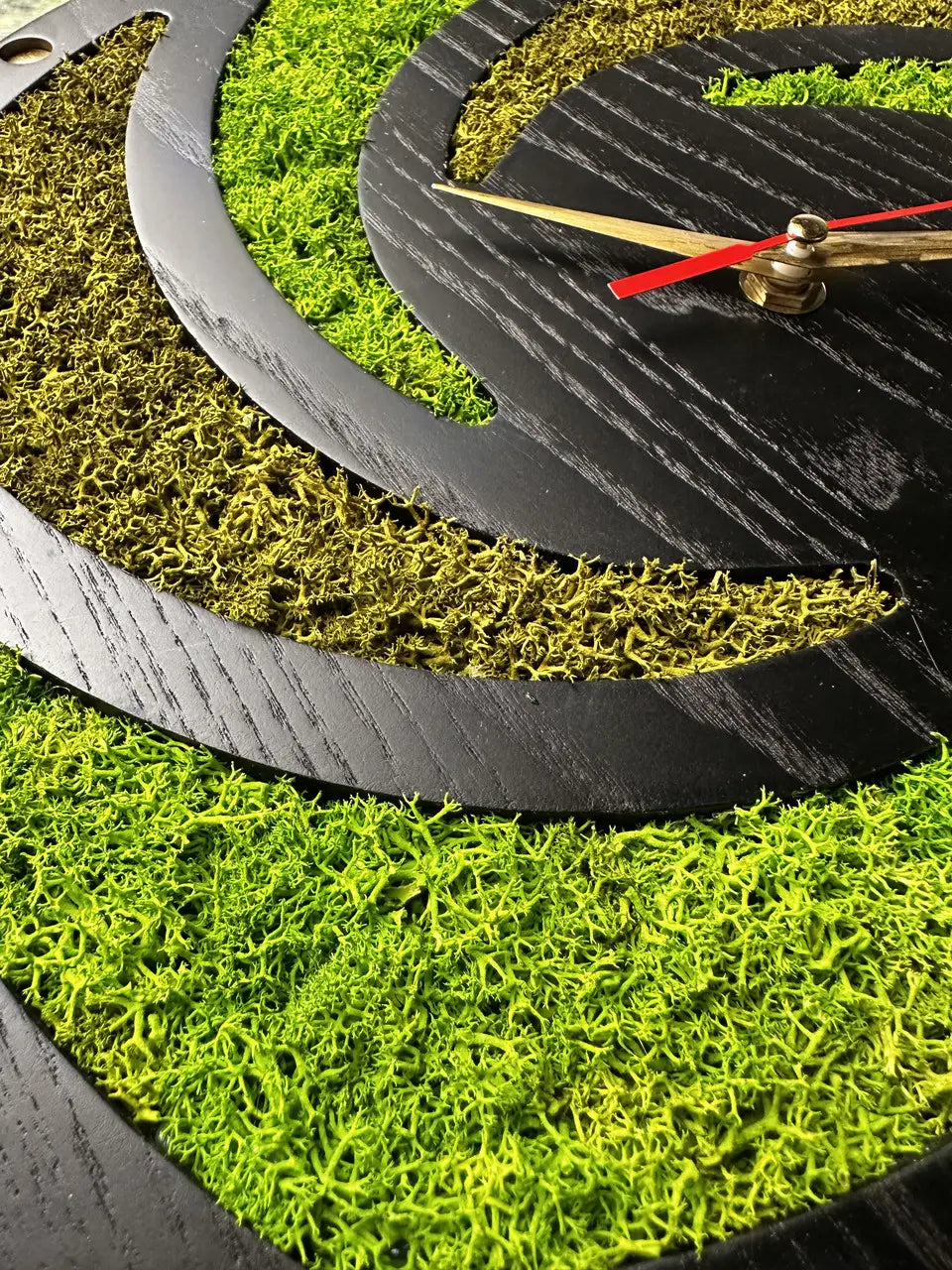 Modern moss wall clock with curved wooden design